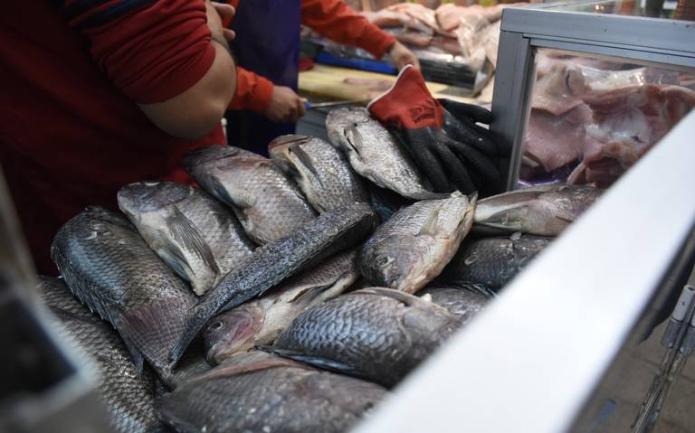 Disminuye venta de pescados y mariscos a pesar de las tradiciones de semana  santa - El Sol de San Luis | Noticias Locales, Policiacas, sobre México,  San Luis Potosí y el Mundo