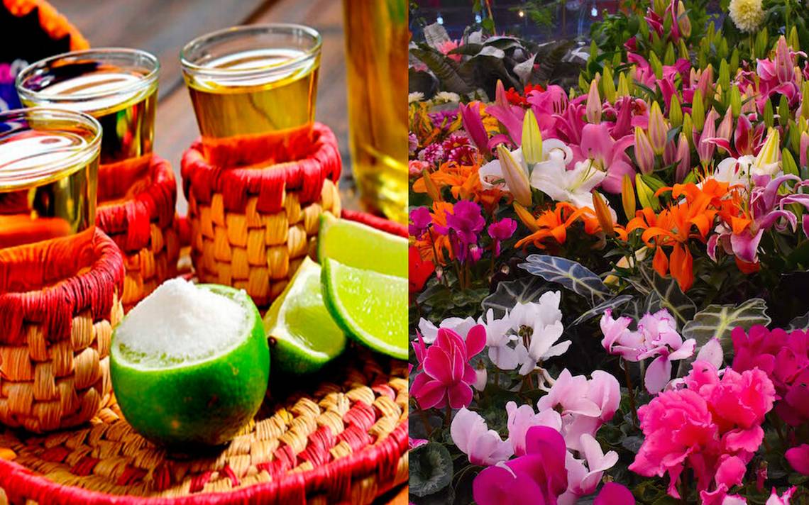 Feria de las Flores y Bebidas Artesanales esperan aumento en ventas de 30  por ciento - El Sol de San Luis | Noticias Locales, Policiacas, sobre  México, San Luis Potosí y el Mundo
