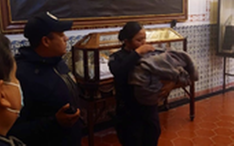 Bebé abandonada en Iglesia de SLP, es el primer caso del año en la PPNNA -  El Sol de San Luis | Noticias Locales, Policiacas, sobre México, San Luis  Potosí y el Mundo