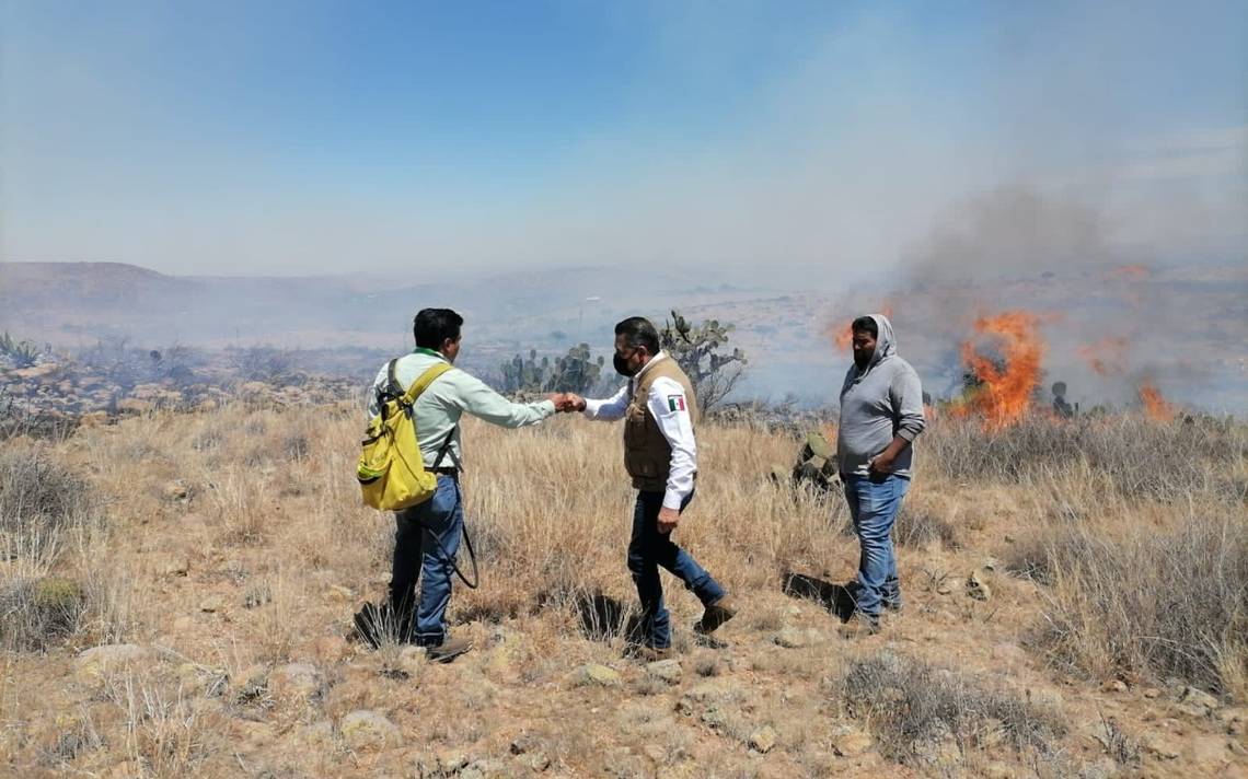 Más de 80 incendios forestales se registraron en territorio sanluiseño: PC – El Sol de San Luis