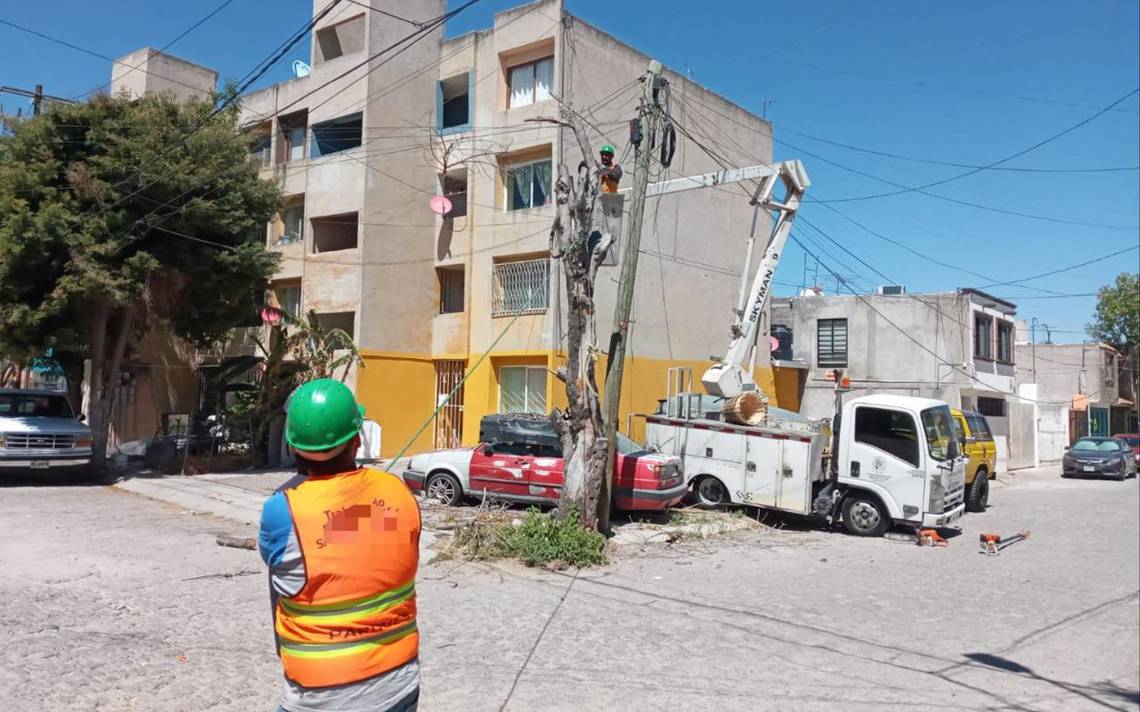 Operativo “Fuertes Vientos”, de PC, atiende árboles en riesgo de caída en SLP – El Sol de San Luis