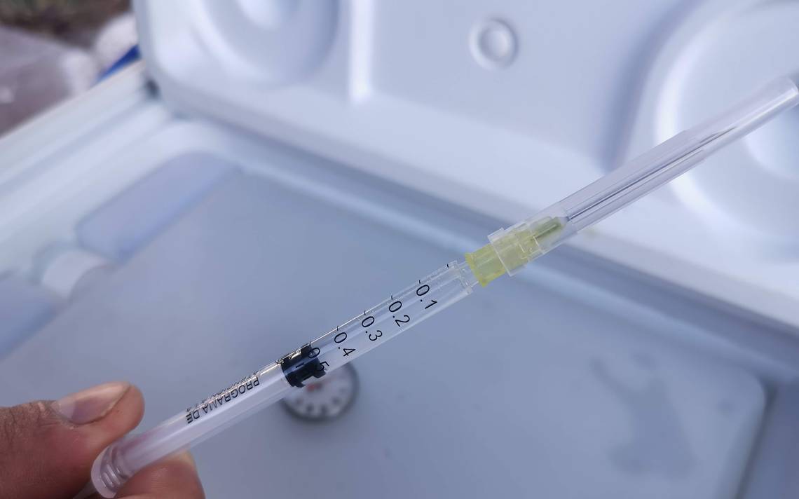 Vaccin gratuit contre le covid-19 en SLP, disponible toute l’année – El Sol de San Luis